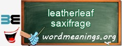 WordMeaning blackboard for leatherleaf saxifrage